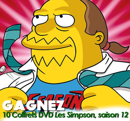 DVD les Simpson saison 12