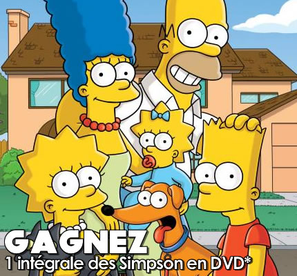 DVD les Simpson